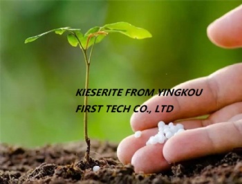 Magnesium Sulfate Monohydrate